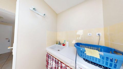 photo no. 11