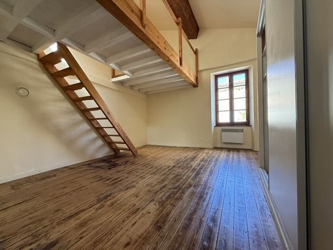 photo no. 12