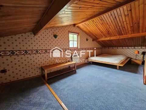 photo no. 13
