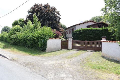 photo no. 2