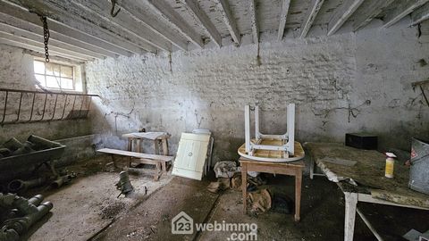 photo no. 19