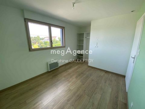 photo no. 9