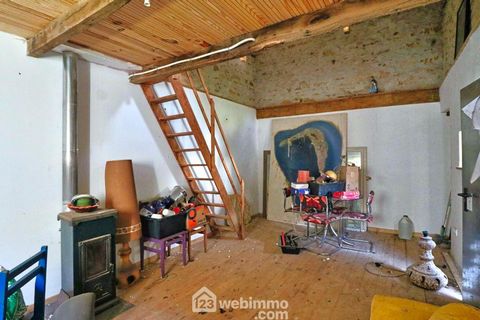 photo no. 19