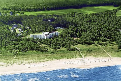 Exclusive thatched maisonette apartment – just a stone's throw from the Baltic Sea beach! Experience maritime charm and modern comfort in our stylish maisonette apartment in Dierhagen. The apartment is located in a lovingly restored thatched-roof hou...
