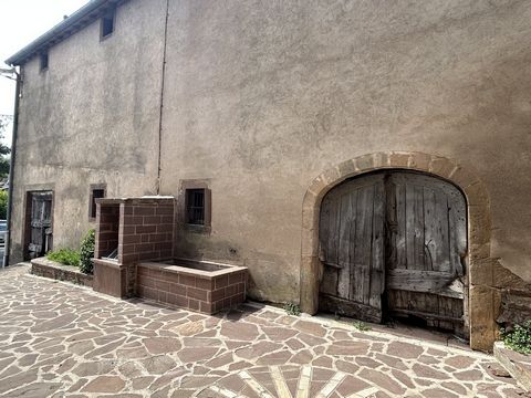 photo no. 4
