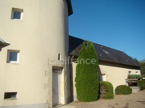 photo no. 2