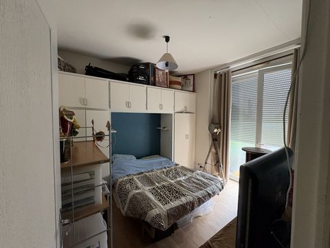 photo no. 6