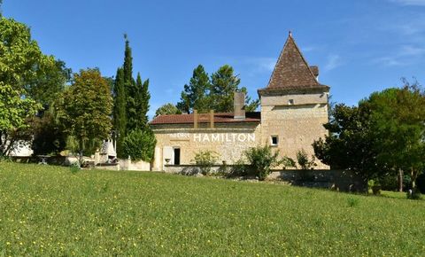 photo no. 13