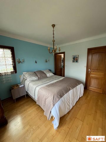 photo no. 11