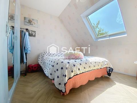 photo no. 7