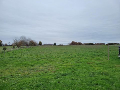 photo no. 12
