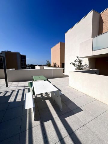 photo no. 11