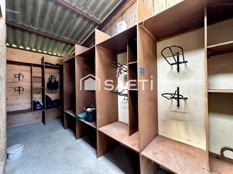 photo no. 17