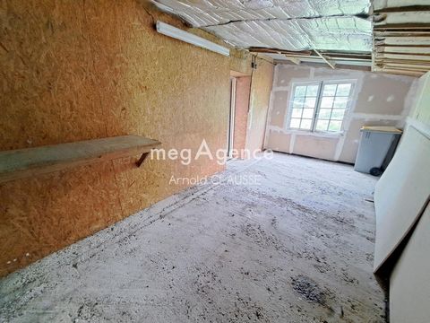 photo no. 5