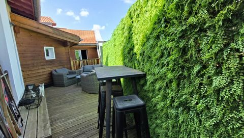 photo no. 18