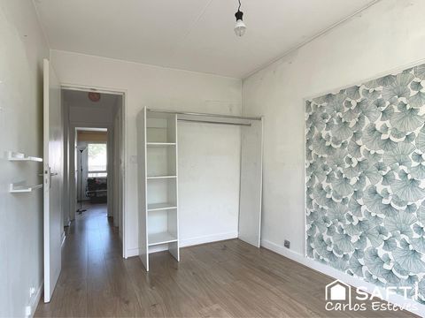 photo no. 12