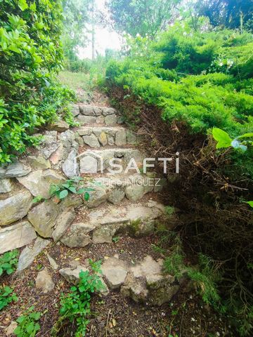 photo no. 6