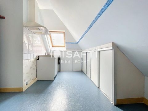 photo no. 9