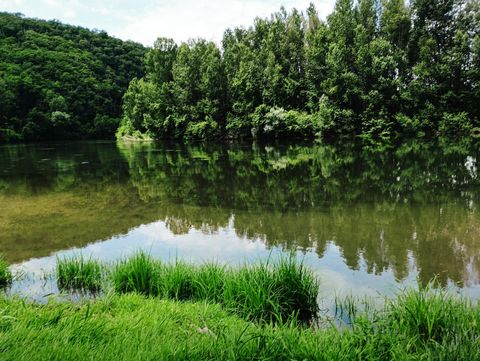 photo no. 11