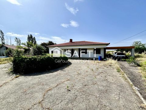 photo no. 11