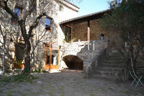 photo no. 1