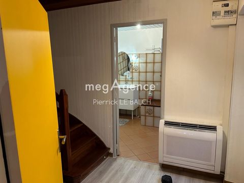 photo no. 10