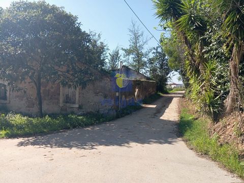 Ruína em pedra numa zona rústica, antigo lagar de azeite, na localidade da Quinta do Bravo, Carvalhal Benfeito. Inserida num lote de área total de 285 m2, com área de implantação de 220 m2. Poderá ser transformada numa excelente habitação térrea, reu...