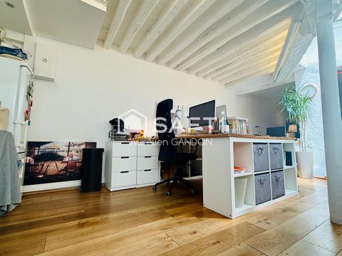 photo no. 8