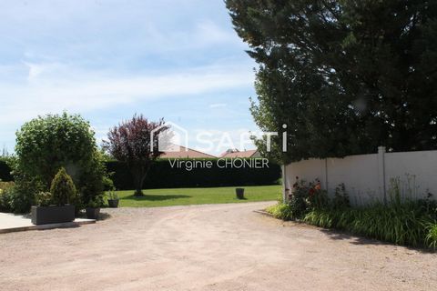 photo no. 16