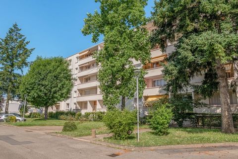 photo no. 2