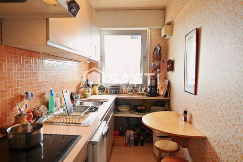photo no. 12