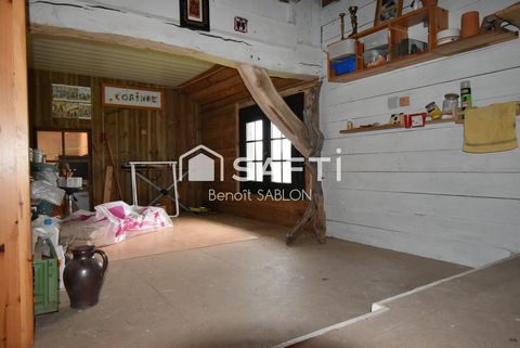 photo no. 10
