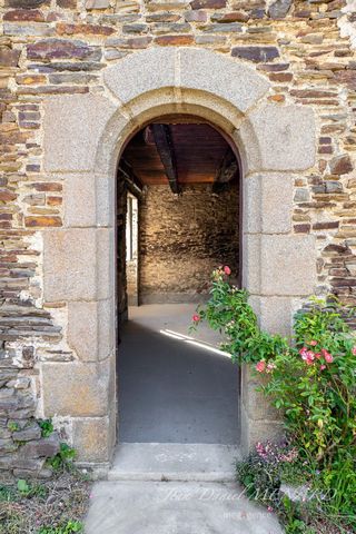 photo no. 9