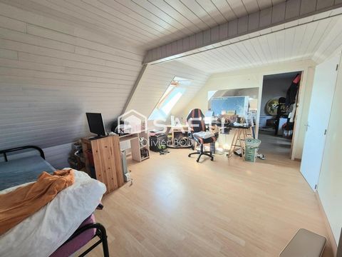 photo no. 11