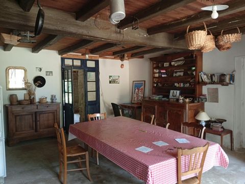 photo no. 6
