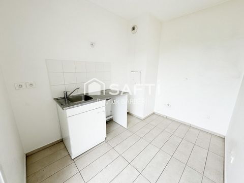 photo no. 6