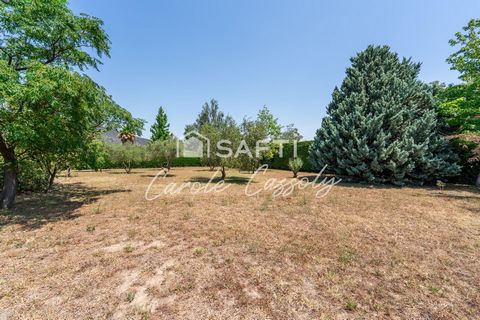 photo no. 14