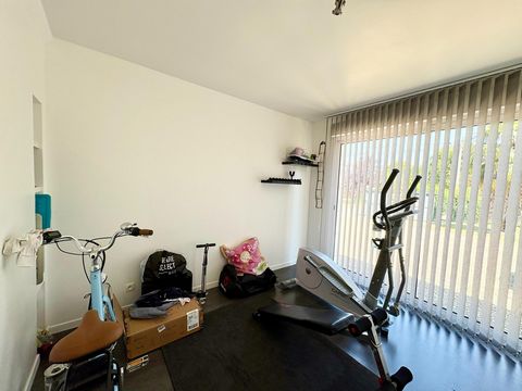 photo no. 13