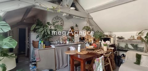 photo no. 14