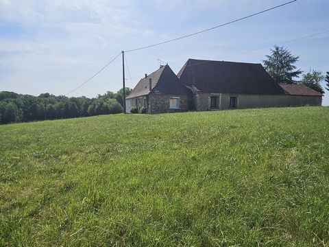 photo no. 13