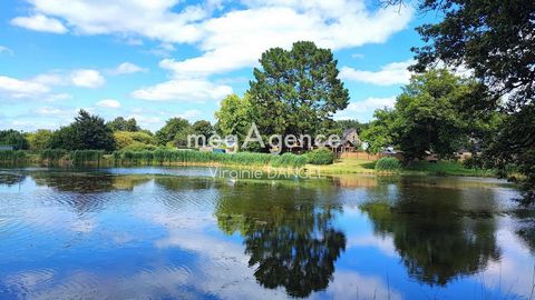 photo no. 17