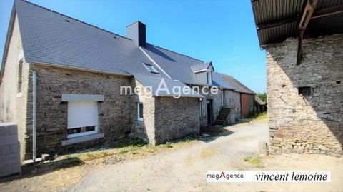 photo no. 10