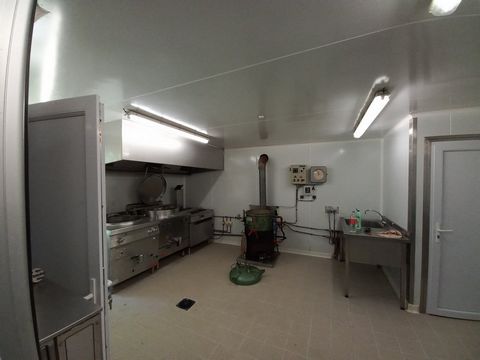 photo no. 10