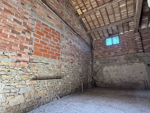 photo no. 5