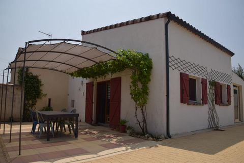 photo no. 3