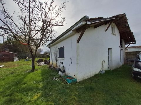 photo no. 6