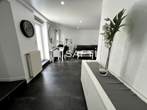 photo no. 12