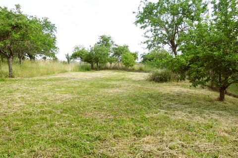 photo no. 5