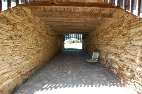 photo no. 16