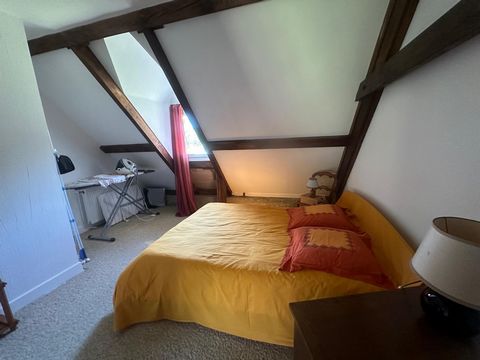 photo no. 8